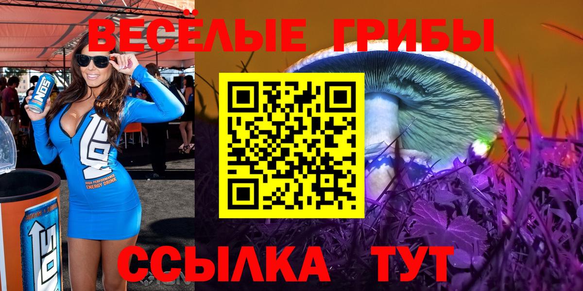 Аргун  Псилоцибиновые грибы прущие грибы  где можно купить   Вход с VPN 
