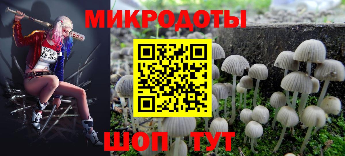 Галлюциногенные грибы Cubensis Аргун